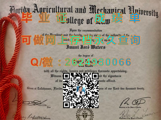 佛罗里达农工大学国外大学毕业证制作|文凭购买|成绩单代办|学位证书样本|offer|留信网认证入网）