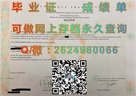 《揭秘爱尔兰顶尖学府：都柏林理工学院毕业证书背后的含金量与就业优势》）