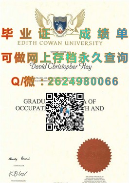 《德克萨斯大学官方认证毕业证：揭秘真实学位证书背后的价值与认可度》）