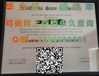 《奥塔哥大学文凭：开启全球职场通行证的学术殿堂》